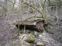 Wagonnet Decauville abandonné dans les bois de Margival depuis 1943. (DL)